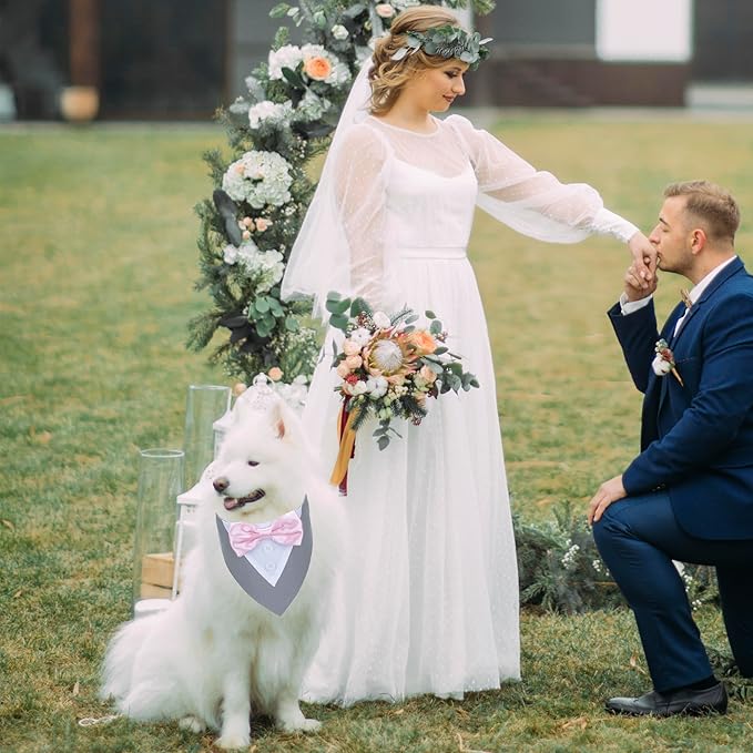 ADOGGYGO Formal Dog Tuxedo Wedding Pet Bandana Collar with Bowtie, Adjustable Birthday Wedding Formal Tux Costumes for X-Small Pets (XS, Grey)