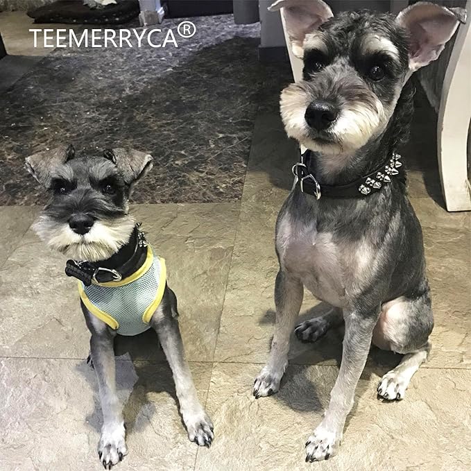 TEEMERRYCA Adjustable Microfiber Leather Spiked Studded Dog Collars with a Squeak Ball Gift for Small Medium Large Pets Like Cats/Pit Bull/Bulldog/Pugs/Husky, Black, L(15"-18.5")