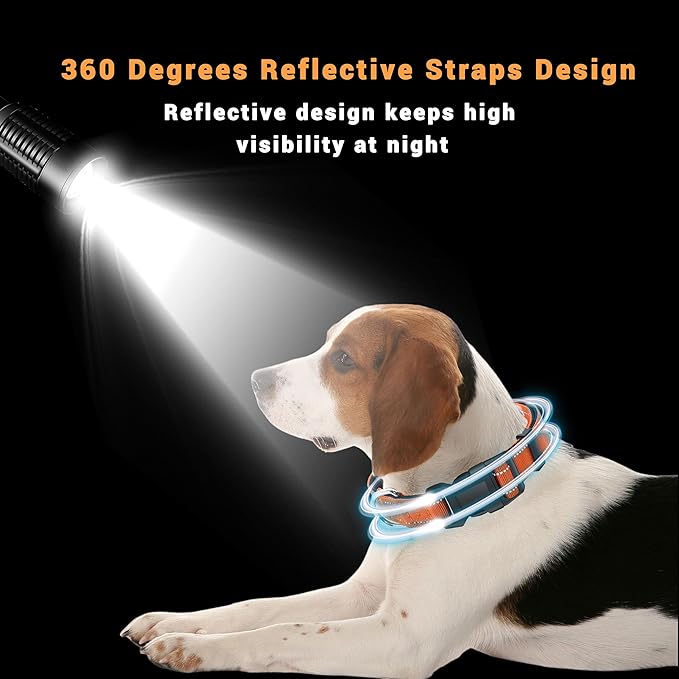 2 Pack Reflective Dog Collar with Safety Locking Buckle, Adjustable Soft Breathable Comfortable Nylon Pet Collar for Small, Medium and Large Dogs, Orange, M