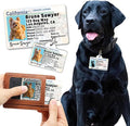 PawFurEver Personalized Dog Driver License ID Tag for Dogs & Cats - Custom Pet License Dog ID Tags Personalized Heavy Duty with Name, Photo & Phone Number, 50 States + DC (Maryland, Wallet Card)