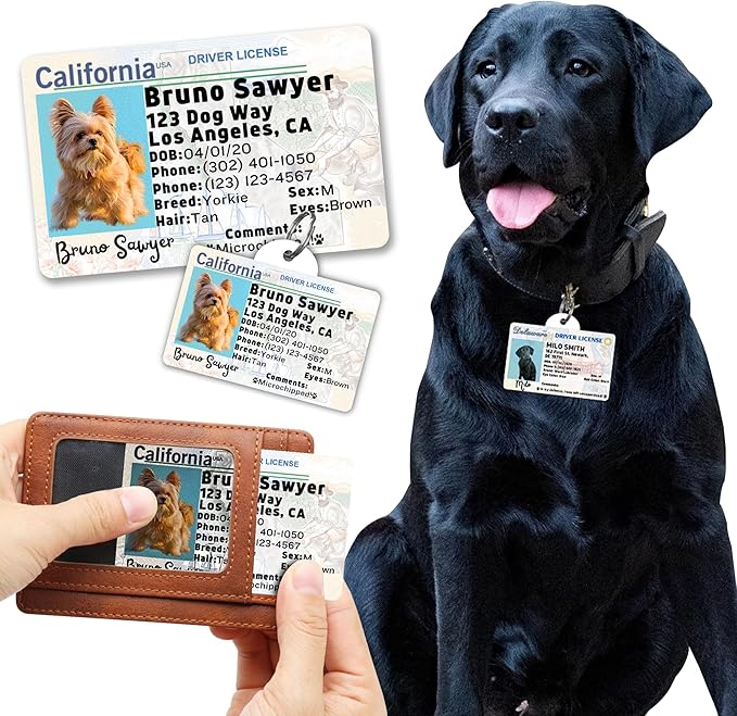 PawFurEver Personalized Dog Driver License ID Tag for Dogs & Cats - Custom Pet License Dog ID Tags Personalized Heavy Duty with Name, Photo & Phone Number, 50 States + DC (Maryland, Wallet Card)