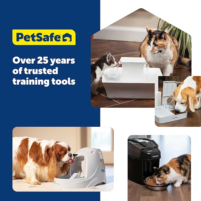 PetSafe Foam Filters for Pet Fountains - Debris Removal - Protects Pump - Viva Pet Fountain Compatible - Long-Lasting Filtration - Easy to Install - 2-Pack
