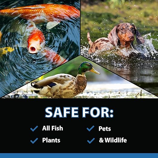 CrystalClear MuckOff, Natural Pond Muck Treatment, Water Garden, Fountain & Bird Bath Sludge Remover, Living Beneficial Bacteria Clarifier with Enzyme, Fish, Aquatic Animal, & Pet Safe, 24 Tablets