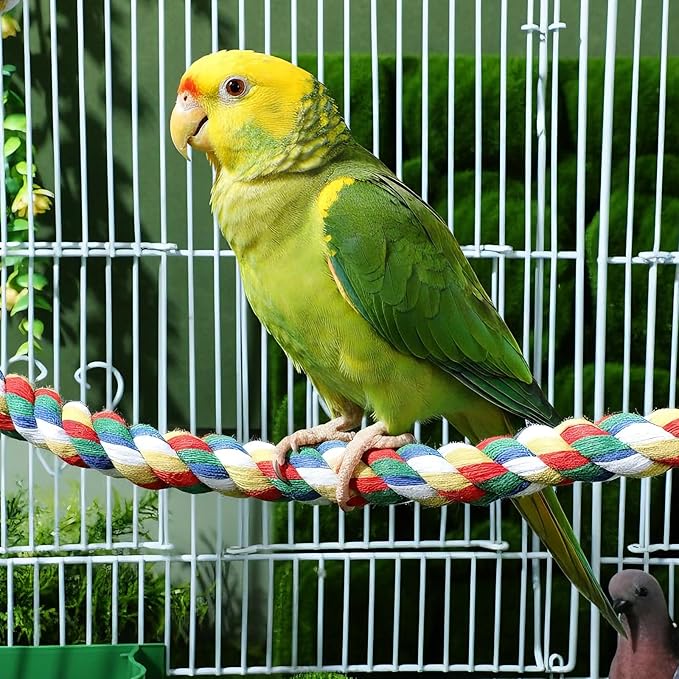 iplusmile Bird Rope Perch Swing & Climbing Toy - 40-Inch Extra Long Soft Spiral Colorful Cotton Rope for Parrots Cockatiels Parakeets Budgie Cage Accessories