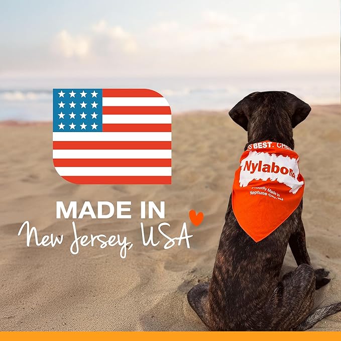 Nylabone Original Bone Flexi Chew Toy for Dogs, Dog Toys for Moderate Chewers, Value Pack, Long Lasting Bacon, Peanut Butter, & Beef Flavor, X-Small Dogs - Up to 15 lbs, 3 Pack
