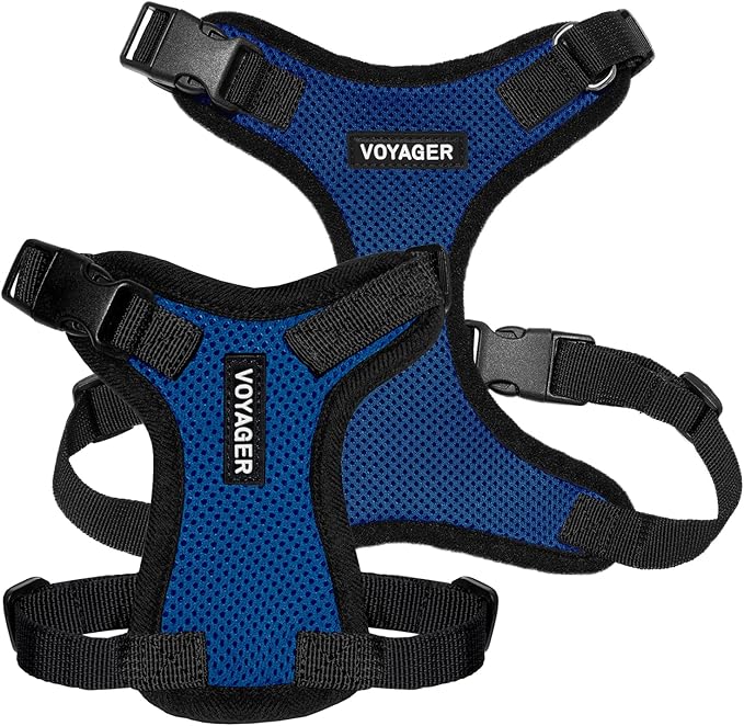 Voyager Step-in Pet Harness - All Weather Mesh, Adjustable Step in Harness for Cats and Dogs by Best Pet Supplies - Royal Blue/Black Trim, XL