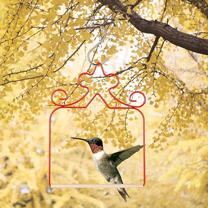 Hummingbird Swings 4 Pack, Rust Resistant Metal Frame, Red Hummingbird Perches with Wooden Dowel,Perfect for Hanging Outdoor Trunk Lawn Patio Garden Yard Porch