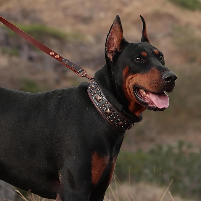 PET ARTIST Soft Padded Leather Dog Collar, 2 inch Wide Genuine Leather Dog Collars with Stylish Studded Rivet & Metal Buckle, Luxury & Adjustable Pet Collars for Medium Dogs,Black,Neck 16-19"