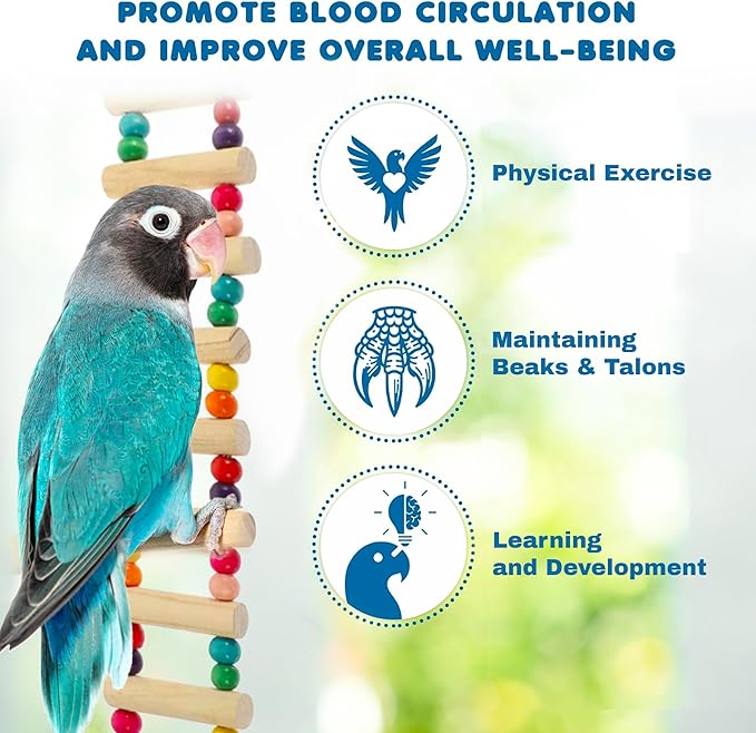 SunGrow Wooden Bird Ladder Bridge, Hanging Exercise Toy, Bird Playground Cage Accessory, Natural Wood, Edible Dye, Interactive Small Bird Toy, Parakeet, Cockatiel, Conure, Budgie Climbing Ladder