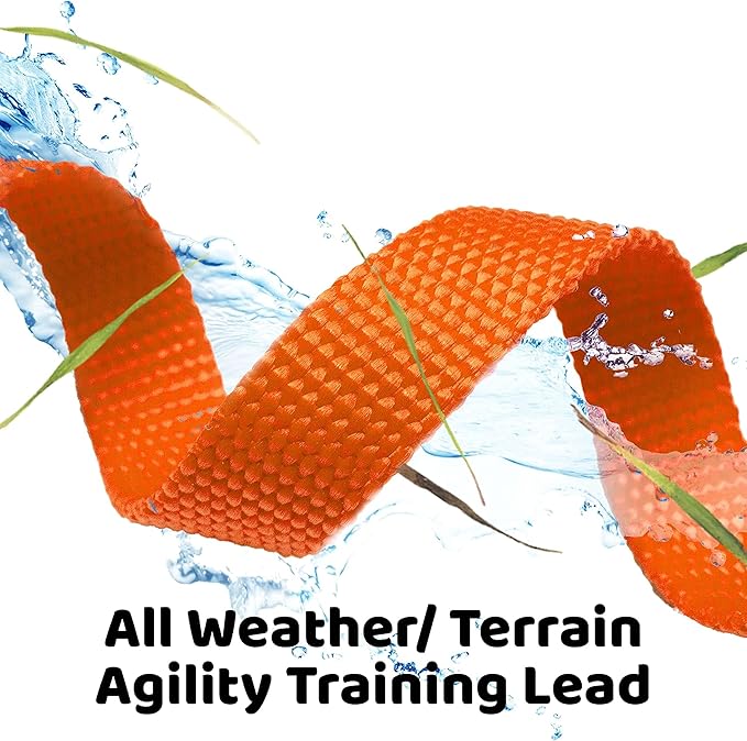 Downtown Pet Supply - Long Dog Leash - 150 ft Orange Nylon Dog Training Leash for Recall & Obedience