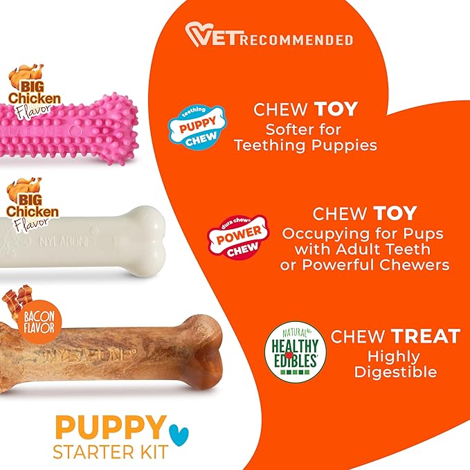 Nylabone Puppy Chew Toys & Natural Treat Triple Pack, Puppy Enrichment Teething Toys, Pink, Chicken & Bacon Flavor, Small Dogs - Up to 25 Ibs, 3 Pack