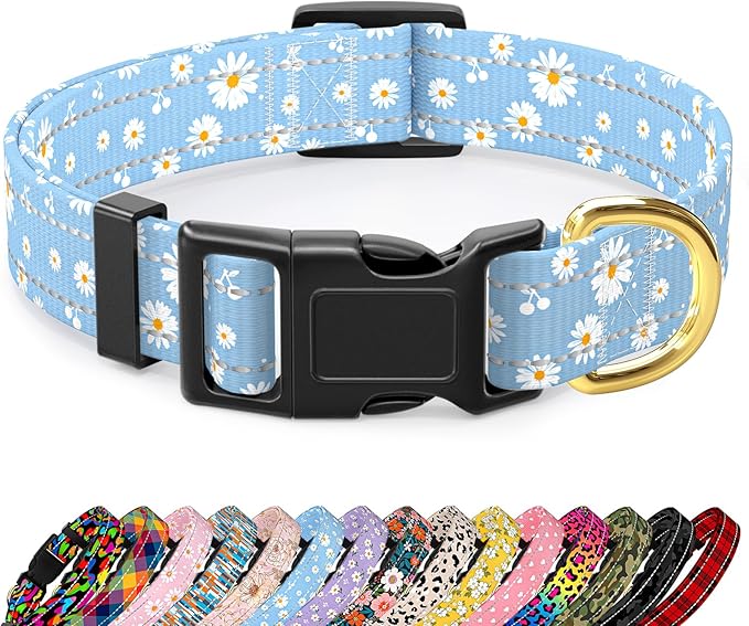 Reflective Dog Collar for Small Dogs, Cute Daisy Theme Adjustable Heavy-Duty Nylon Puppy Collar for Boy and Girl Female, Soft Pet Accessories with Quick Release Buckle, Neck 10-16", Blue