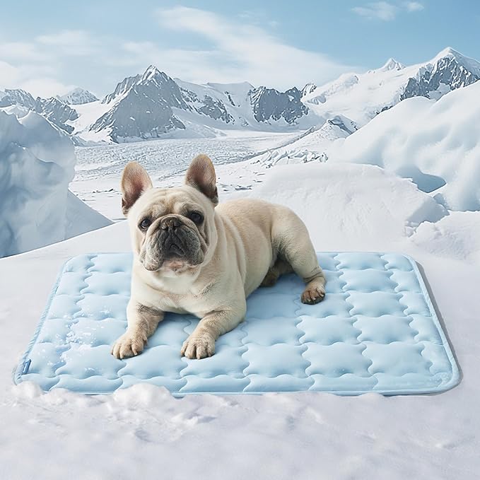 Bedsure Cooling Mat for Medium Dogs – 29x21 Thin Washable Cooling Pet Pad for Cat, QMAX>0.5, Portable Kennel Puppy Bed for Summer, Non-Slip Summer Crate Pad for Dog Up to 25 lbs