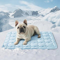 Bedsure Cooling Mat for Medium Dogs – 29x21 Thin Washable Cooling Pet Pad for Cat, QMAX>0.5, Portable Kennel Puppy Bed for Summer, Non-Slip Summer Crate Pad for Dog Up to 25 lbs