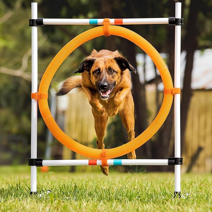 Midlee Dog Agility Hoop Jump