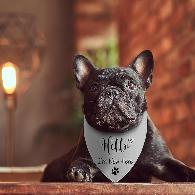 Hello I'm New Here Dog Bandana, New Puppy Reveal Party Photo Prop, Cute New Puppies Announcement Gifts for Dog Owner, Triangle Bibs Scarf for Pets