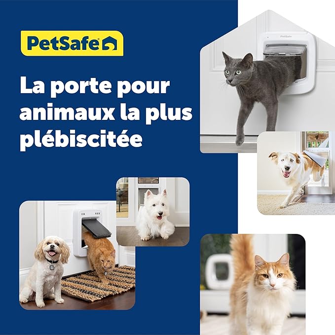 PetSafe Microchip Cat Door, Exterior or Interior Pet Door - Multi-User RFID Access Up to 40 Pets, 4-Way Locking, Weatherproof, DIY Easy Install, Hardware Kit; Privacy for Cat Litter Box or Pet Feeder