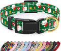 Reflective Dog Collar, Cute Christmas Style Dog Collar for Small Dogs, Soft Nylon Puppy Collar for Boy and Girl Female Dog, Adjustable Heavy-Duty Pet Collars with Quick Release Buckle, Green