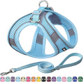 AIITLE Small Harness for Puppy with A Leash - Dog Vest Harness with Super Breathable Mesh, Reflective No-Pull Pet Harness for Outdoor Walking, Running for Small Dogs, Cats Pure Blue XXS