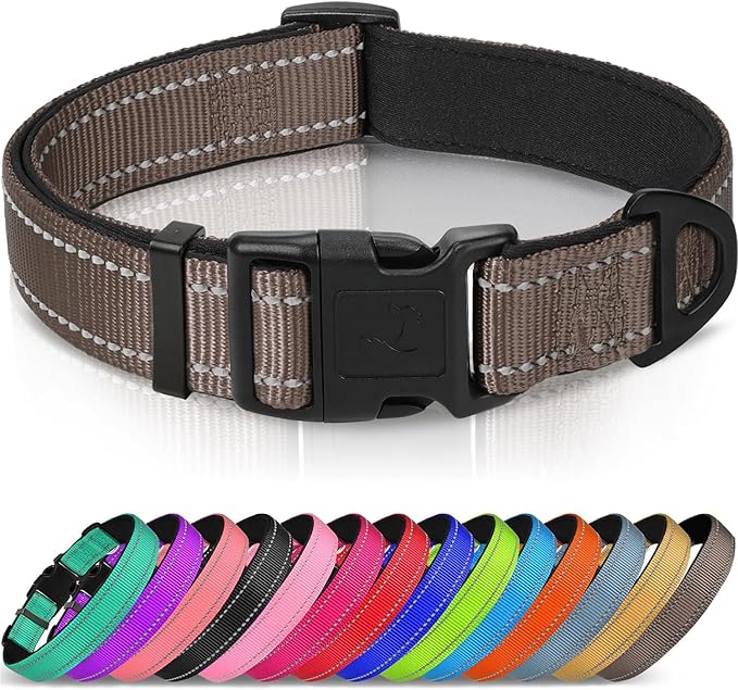 Joytale Reflective Dog Collar, Soft Neoprene Padded, Metal D-Ring, Nylon Pet Collar Adjustable for Puppy and Small Dogs, Brown, XSmall