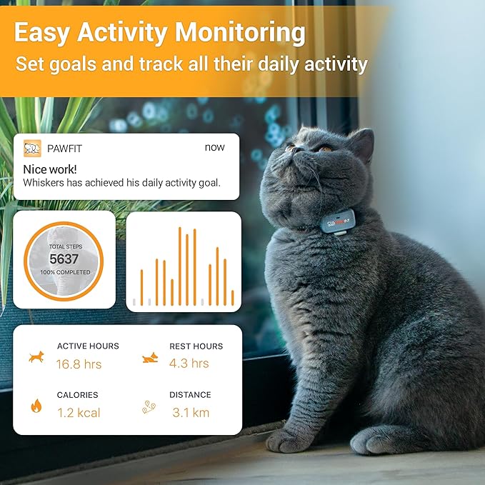 Pawfit Lite for Cats 4g GPS Tracker | Ultra-Small (<18g) Design | Real-Time Tracking | Activity Monitoring | Location History | Unlimited Range | Safety Collar Included | Onyx Black