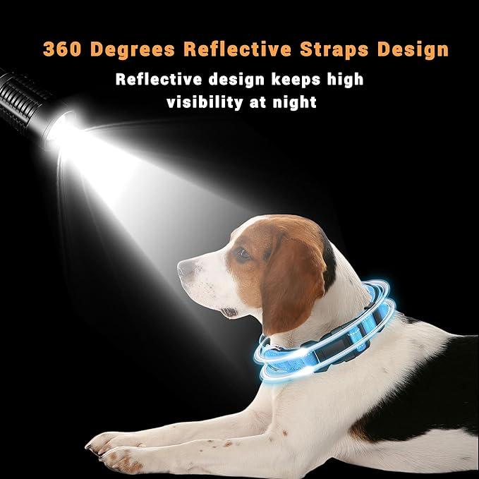 2 Pack Reflective Dog Collar with Safety Locking Buckle, Adjustable Soft Breathable Comfortable Nylon Pet Collar for Small, Medium and Large Dogs, SkyBlue, L