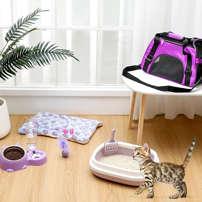Eccliy Kitten Starter Kit, 10 Pcs Cat Starter Kit for Indoor Cats Kitten Essentials Includes Litter Box, Pet Toy, Folding Carrier, Climbing Frame, Mat, Collar, Automatic Food Bow(Cute,Purple)