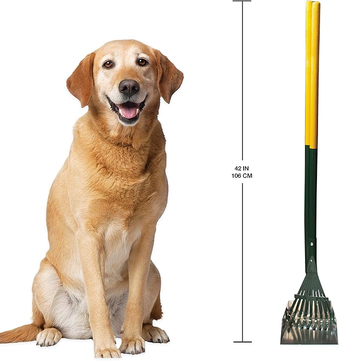 Four Paws Stainless Steel Long-Handled Dog Pooper Scooper Rake & Pan 2 Piece Set, Pet Waste Pickup Tool, 38" x 7"