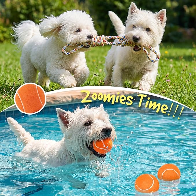14Pcs New Puppy Gift Basket, Complete Premium Welcome Puppy Starter Kit and Dog Gift Basket with Dog Toys Bundle, Pet Essentials for New Owners, Perfect Dog Birthday Set for Small to Medium Breeds