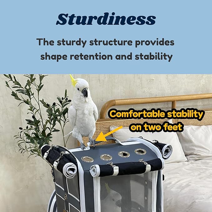 Birds Day Cockatoo Carrier Backpack-Parrot Travel Cage with Wooden Perch and Food Bowl, Stainless Steel Tray (Charcoal Gray, Cockatoo & Similar)