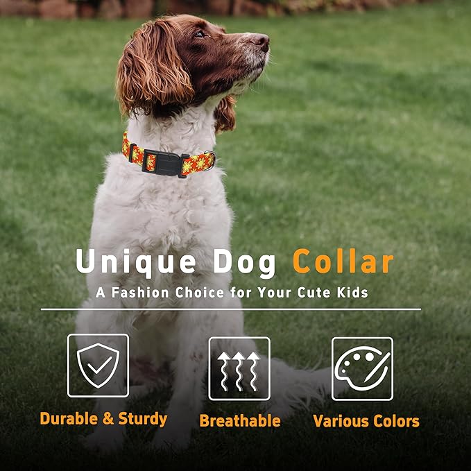 Dog Collar, Classical Indian Spirit Boys Girls Puppy Collar for Small Medium Large Dogs, Adjustable Soft Indian Pet Collar with Safety Buckle for Male Females(Yellow,XS)