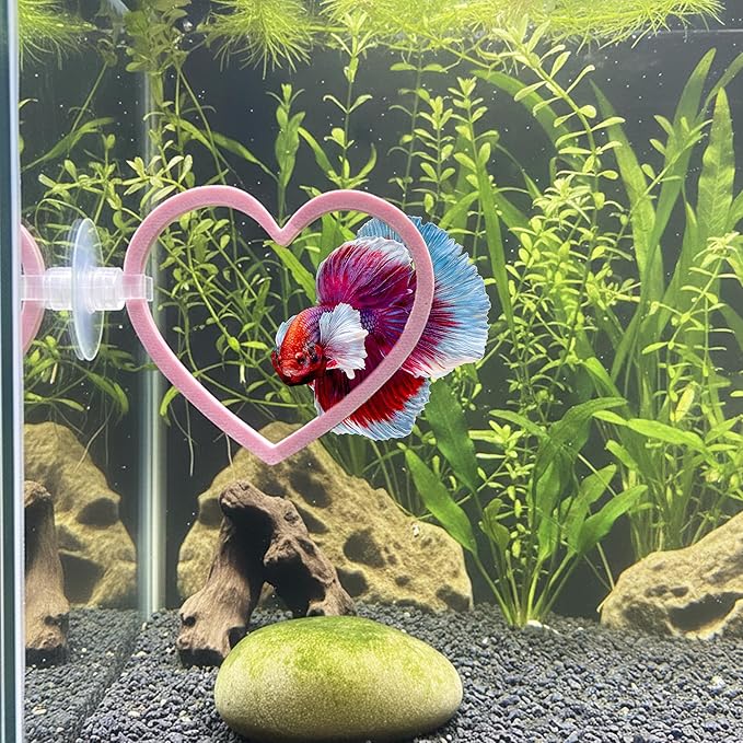 Heart Swim Ring Decor for Betta Fish, Interactive Exercise Toy for Aquariums Betta Ring, 2 Pack Pink
