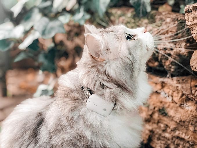 Pro-Track-tor - Ultra-Lightweight Cat Finder (ONLY 0.28oz) - No Monthly Fees - 1600ft Range RF Tracker - Works Where GPS Fails - Find Hidden Cats Anywhere
