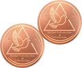 Bird Bath Purification Disk, 99.99% Copper Disc for Bird Bath Copper Disk Cleaner Safe for Outside Birds Fountain Disc Accessories, Fit for Outdoor Birdbath Bowl (2 pcs)