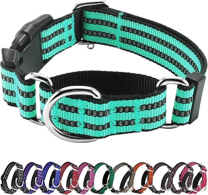 Hikiko Martingale Dog Collars Reflective Nylon Dog Collar with Quick Release Buckle Adjustable Training No Slip Dog Collar (Large, Turquoise)