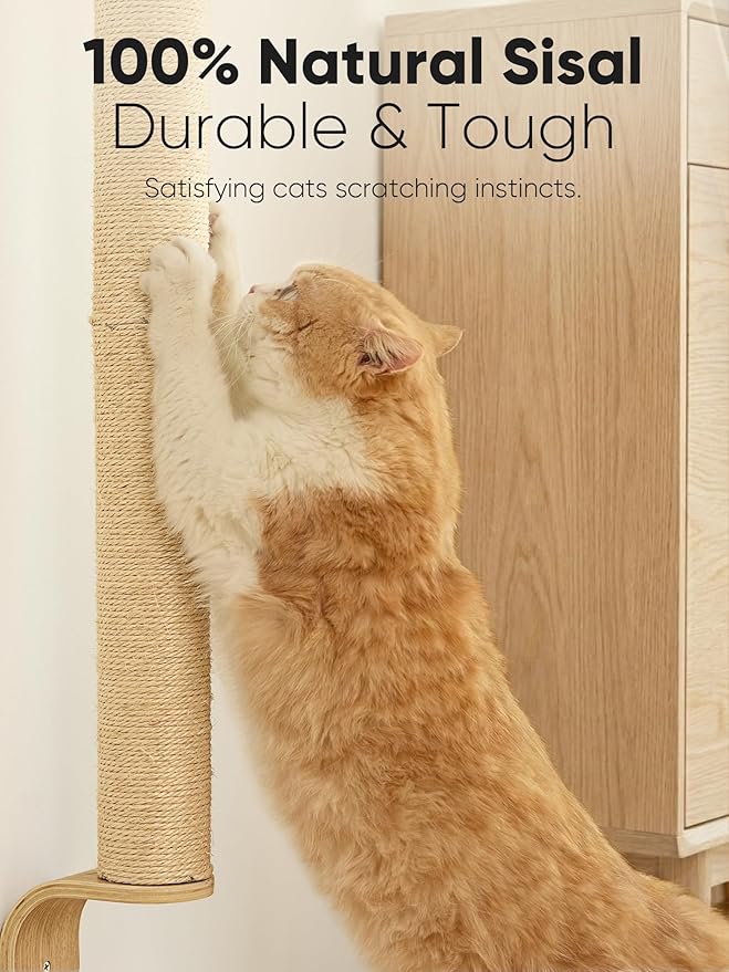FUKUMARU Cat Wall Scratcher, 60" Tall Wall Mounted Kitten Scratching Post, Sturdy Sisal Climbing Tree for Indoor Large Cats