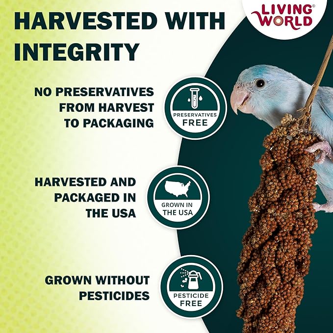 Living World – Millet Spray for Birds, 5 Pounds – Premium Treat for Budgies, Canaries, Finches, Cockatiels and Other Pet Birds