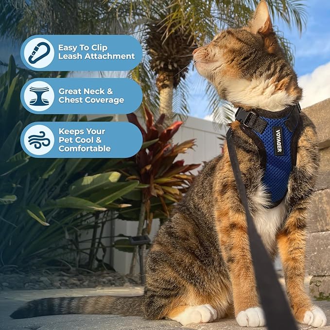 Voyager Escape-Proof Step-in Lock Cat Harness & 5ft Neoprene-Handle Leash Set All-Weather Mesh with Reflective Stitching for Small to Large Cats by Best Pet Supplies, Royal Blue/Black Trim, XS