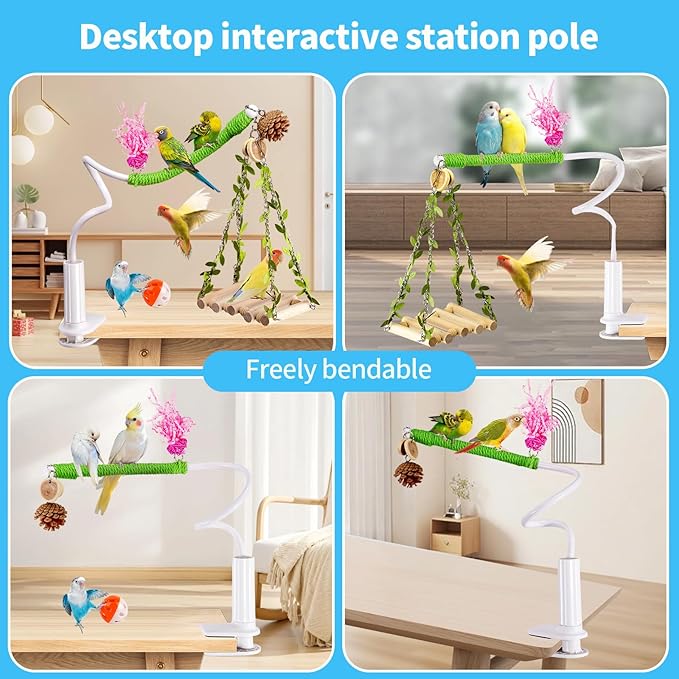 Bird Perch Stand with Swing, Desktop Bird Toy & Stand for Interacting, Interactive Playground for Sun Conure, Lovebirds, Conure, Budgie, Cockatiel - Non-Slip Adjustable Perch