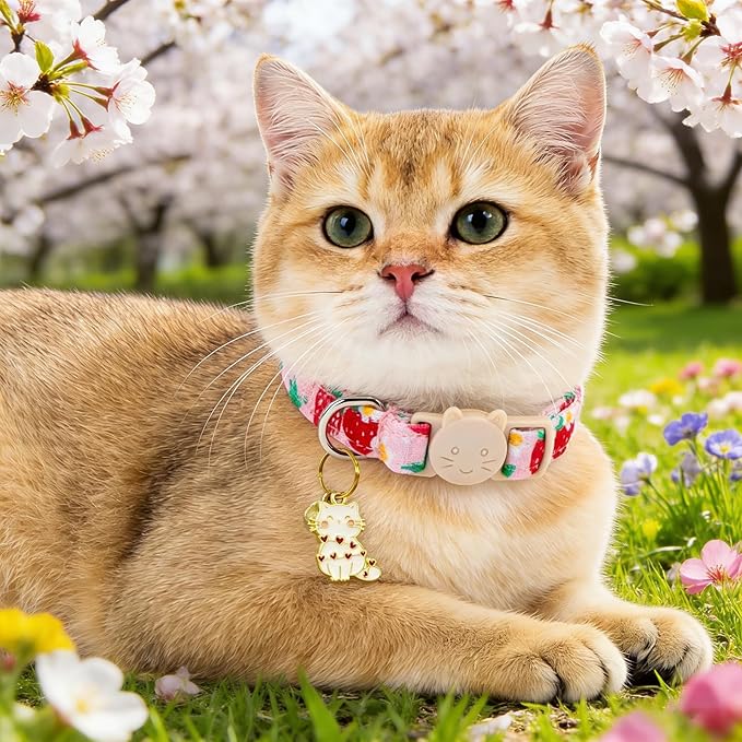 Spring Cat Collar-2 Pack Collars Strawberry and Flower Print Breakaway with Kitten and Bell Pendant Safety Buckle Adjustable Pet Collar Gift for Cats and Small Pets