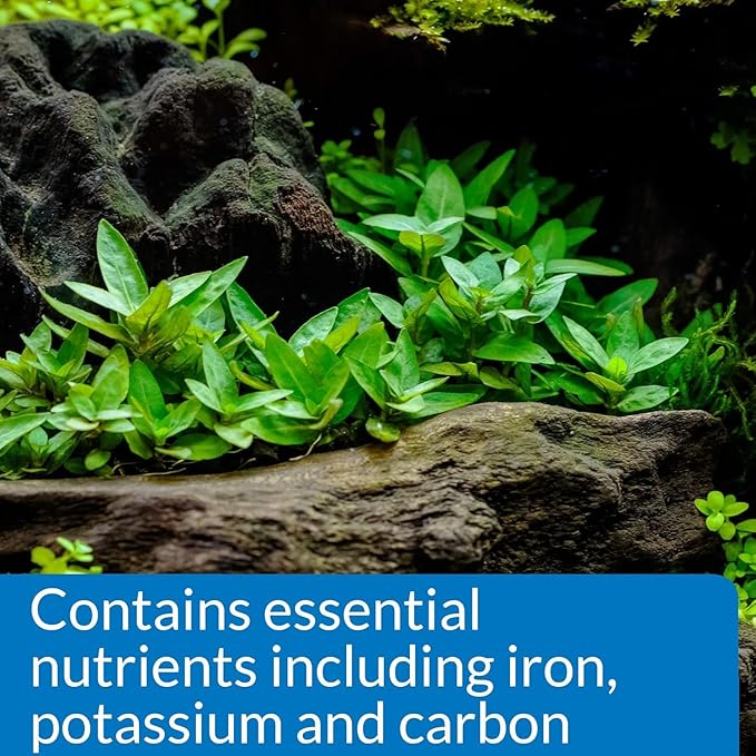 API Root TABS Freshwater Aquarium Plant Fertilizer 0.4-Ounce 10-Count Box (Pack of 2)