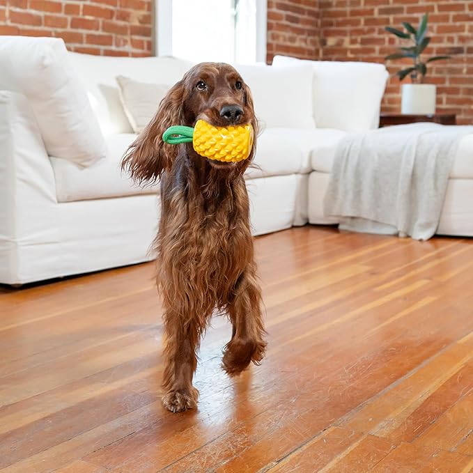 Outward Hound Dental Pineapple Dog Toy & Treat Stuffer, 6.8″ x 3.3″ Pineapple-Scent Interactive Chew for Dogs, Promote Healthy Teeth, Gums & Mental Enrichment, Reduce Boredom & Support Dental Health