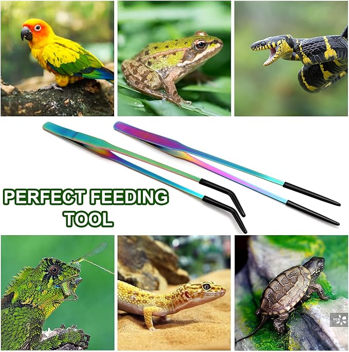 OLIISS Stainless Steel Reptile Feeding Tongs with Rubber Tip - 10.6" Straight & Curved Tweezers for Aquariums & Crafts - Feeder Tools for Bearded Dragons & Lizards - Terrarium Tank Supplies - 2 Pack