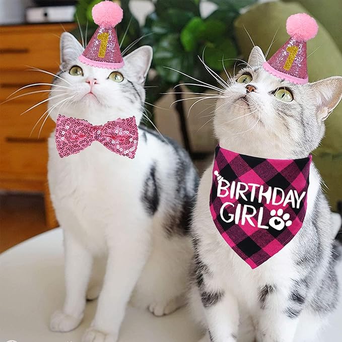 STMK Cat Birthday Decorations, Cat Birthday Hat with Numbers Bandana Bow Tie Collar for Cats Kittens Birthday Outfits (Pink)