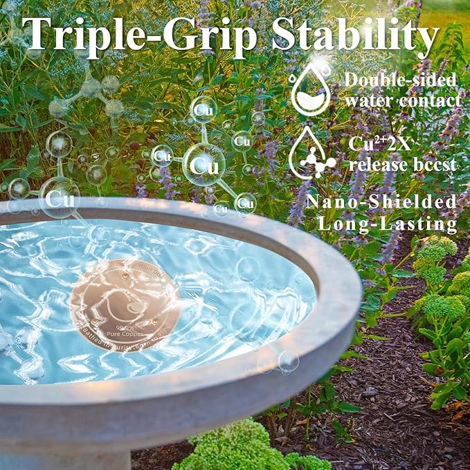 Copper Bird Bath Disks (2-Pack), 4.2" Large Surface, 20% More Coverage, Year-Round Water Cleanliness