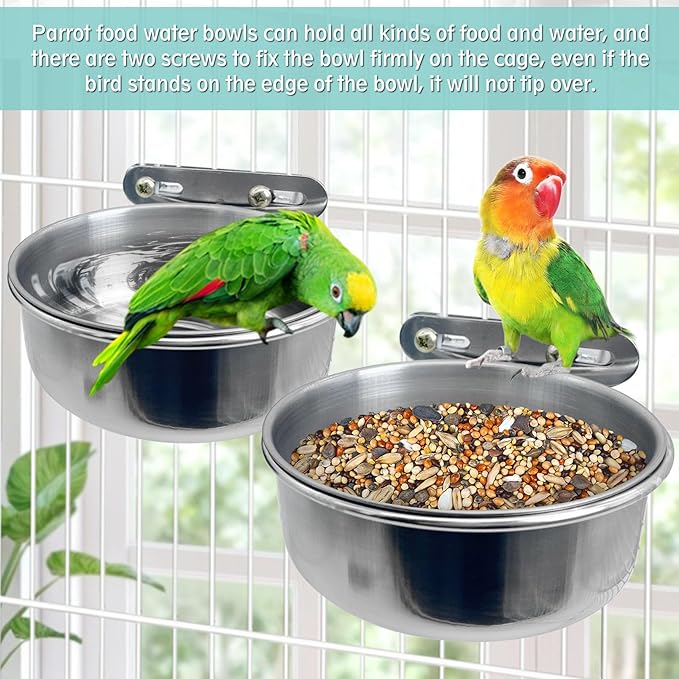 PINVNBY Stainless Steel Bird Bowl Parrot Food Water Bowls with Clamp Holder Bird Feeder Dish Cups Crate Bowls for Cockatiel Pigeons Conure Budgies African Greys (2PCS Screw Size: M)