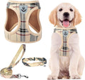 PUPTECK Adjustable Dog Harness Collar and Leash Set Step in No Pull Pet Harness for Small Medium Dogs Puppy and Cats Outdoor Walking Running, Soft Mesh Padded Reflective Vest Harnesses, Beige L