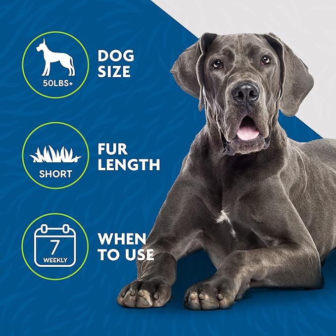 FURminator Undercoat Deshedding Tool for Dogs,Deshedding Brush for Dogs,Removes Loose Hair and Combats Dog Shedding,(Pack of 12)