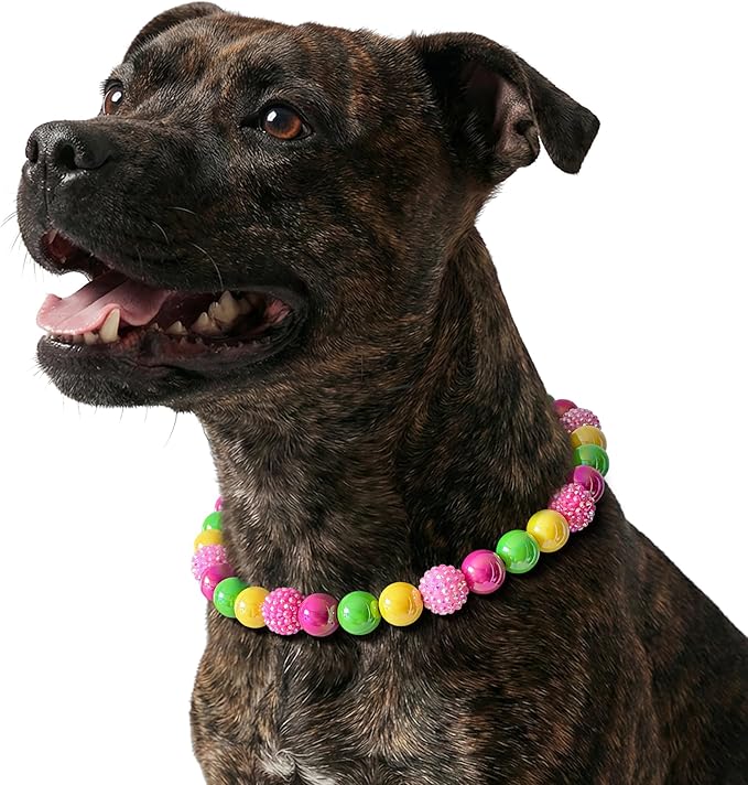 Beaded Dog Necklace Collar, Adjustable Jewelry-Inspired Design with Sparkle Beads (Vivid Tropics, Medium)