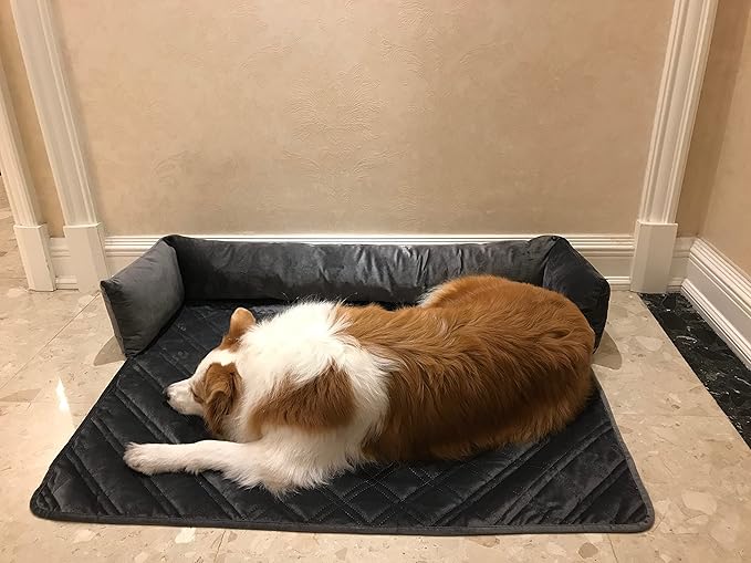 Brilliant Sunshine Premium Calming Dog Bed Mat, Silky Velvet, Removable Washable Cover, Cushion Protector and Couch Covers for Dogs, Pets, Cats, Large, Grey
